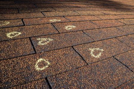 Roof Inspections